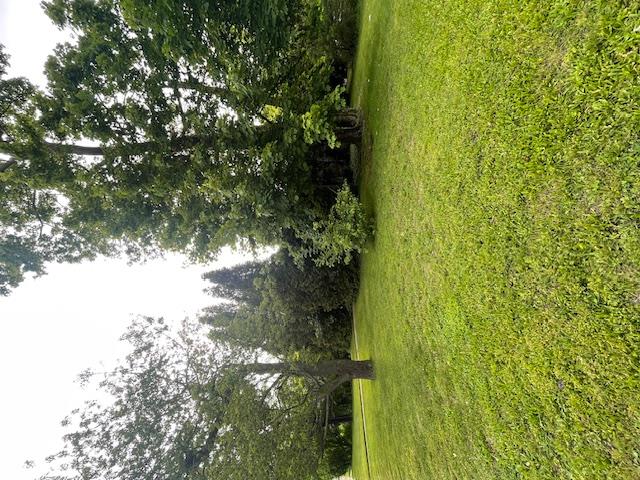 230 Park Avenue, Freeport, New York image 5