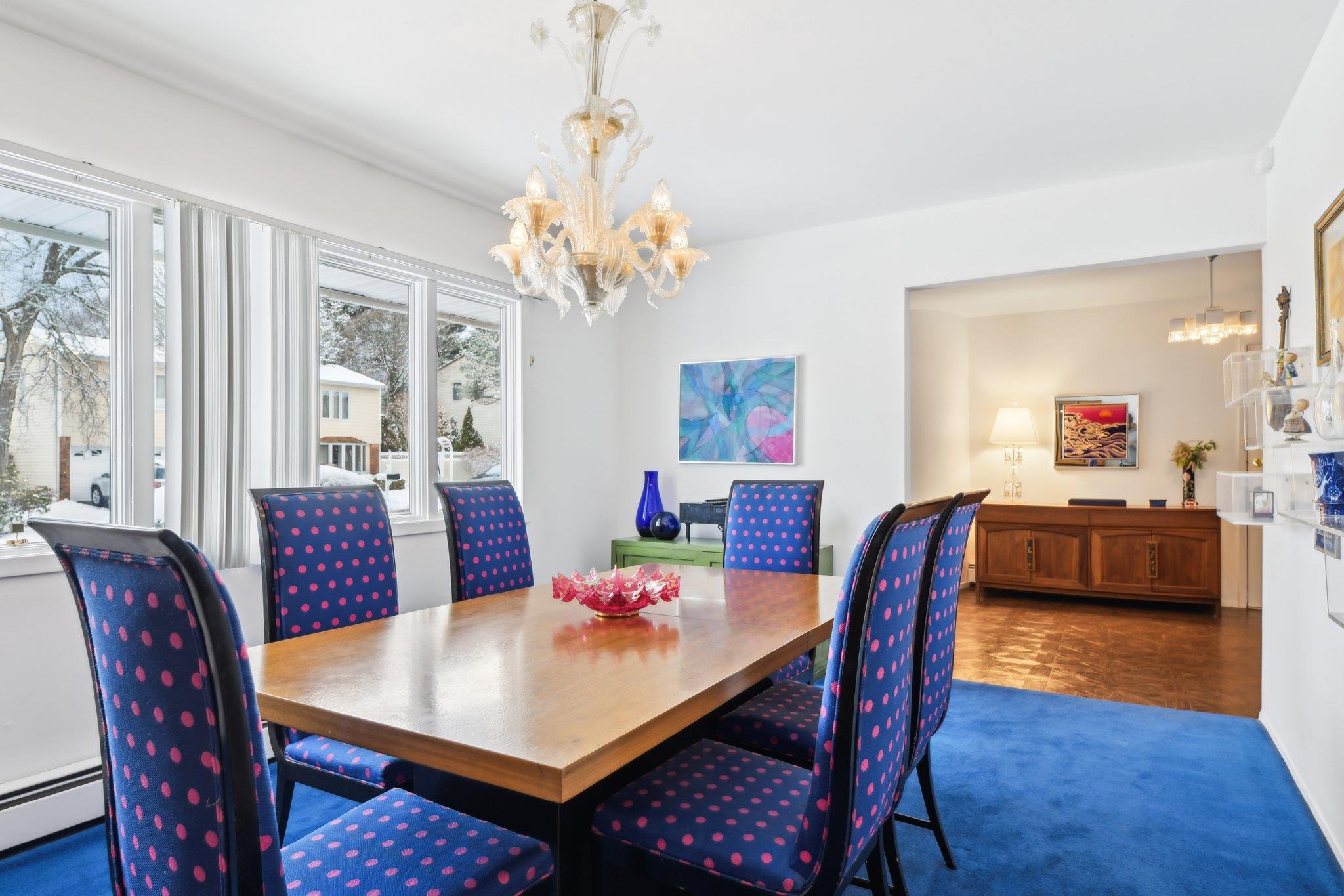 68 Barry Lane, Syosset, New York image 13