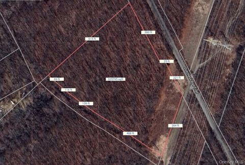 Vacant Land For Sale - LOT 337829 Rt-376<br/> Wappingers Falls, NY 12590