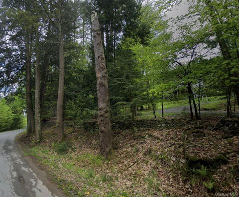 Oriole Trail Bethel NY 12720