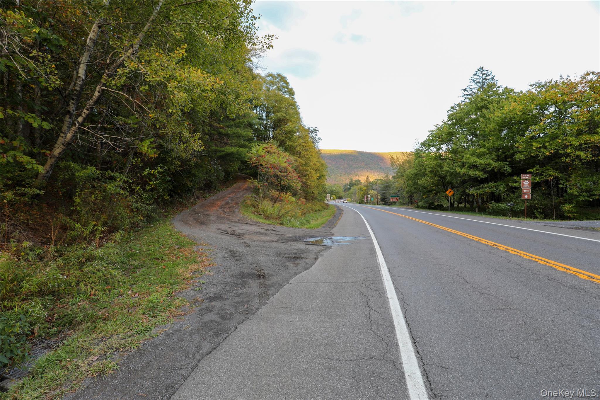 TBD NY-28 Route