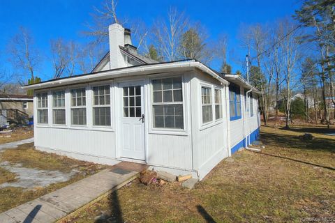 Homes For Sale - 8 Central Avenue<br/> White Lake, NY 12786