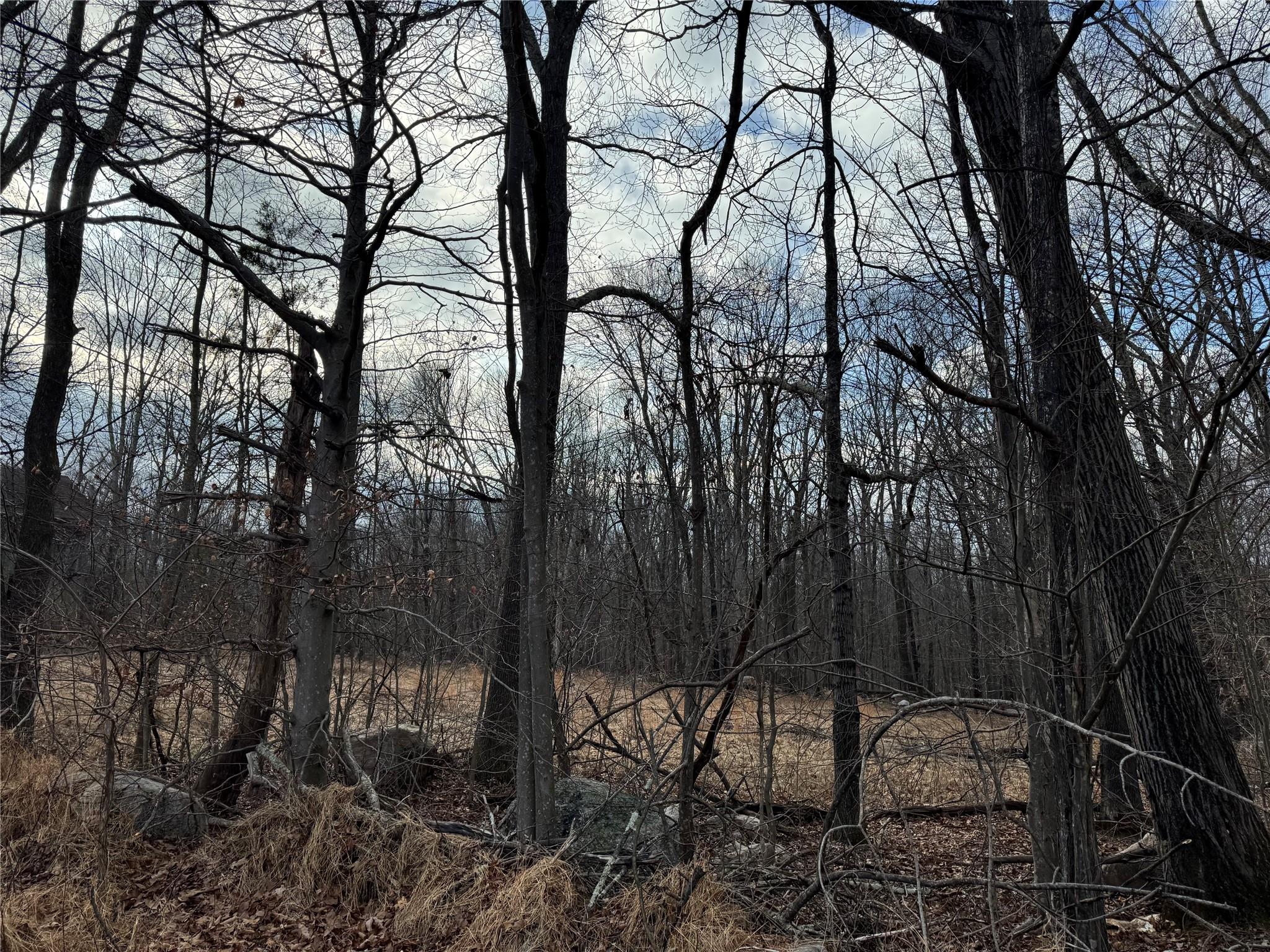 Quannacut Road, Pine Bush, New York image 2