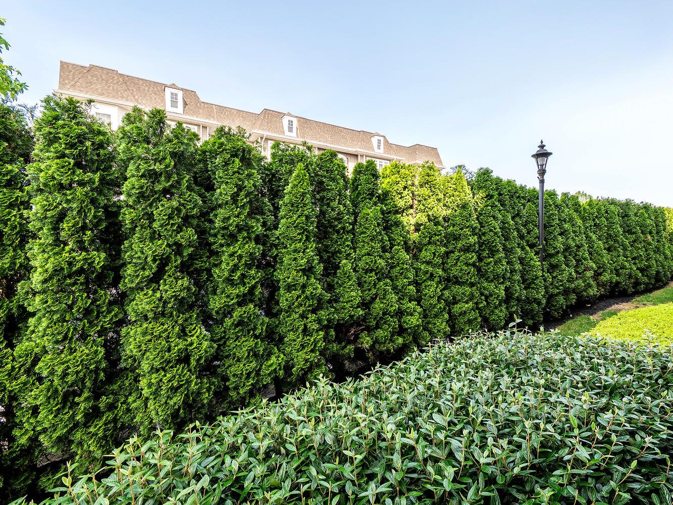 100 Shady Lane #100, Westbury, New York image 24