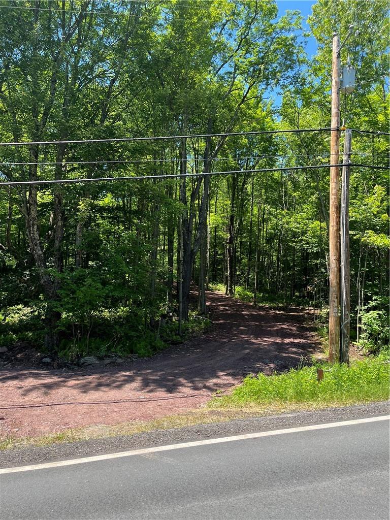 Dahlia Lot 2 Road, Livingston Manor, New York image 25