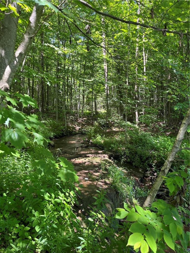 Dahlia Lot 2 Road, Livingston Manor, New York image 24