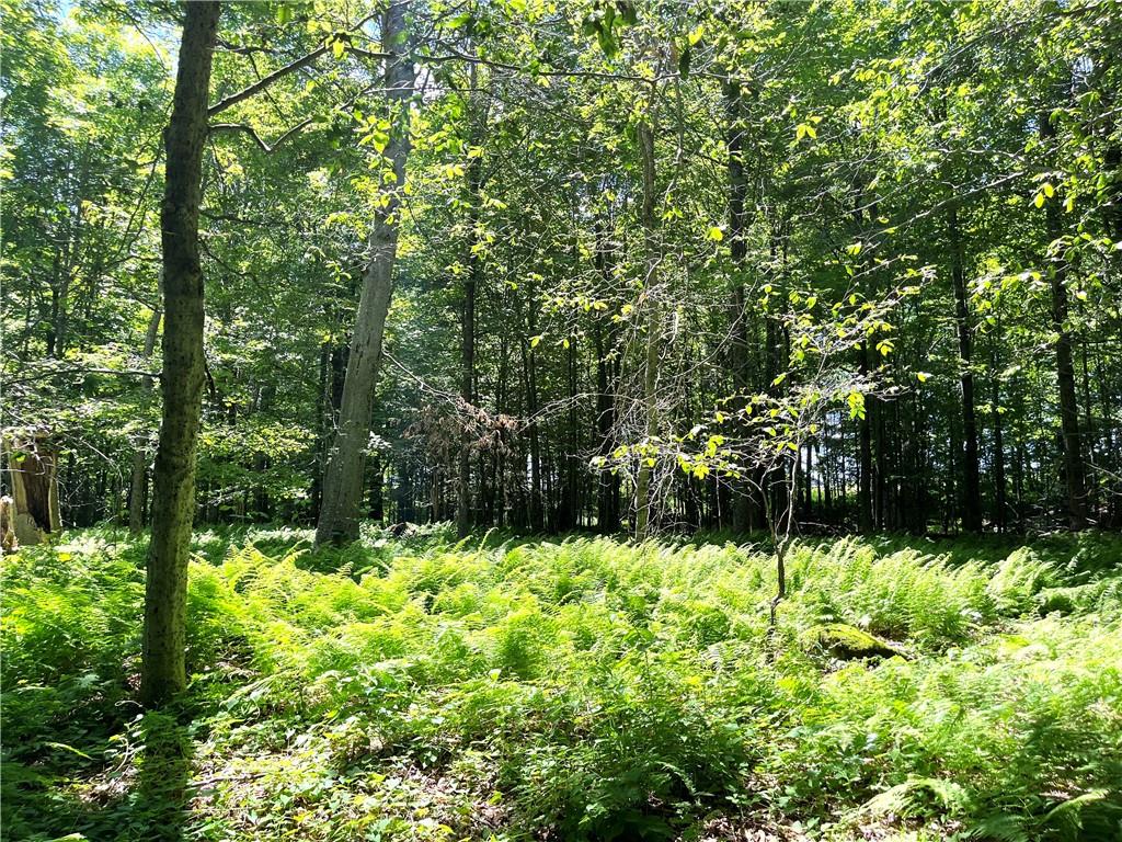 Dahlia Lot 2 Road, Livingston Manor, New York image 20