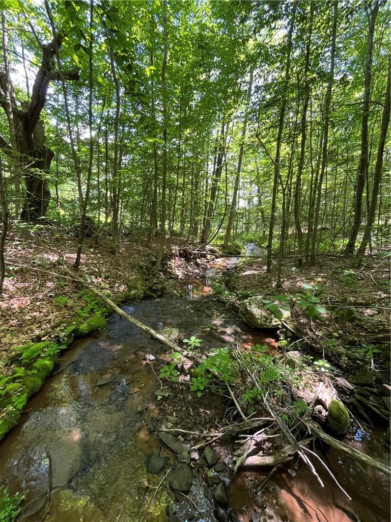Dahlia Lot 2 Road, Livingston Manor, New York image 12