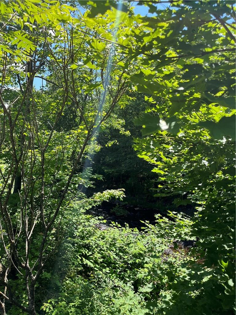 Dahlia Lot 2 Road, Livingston Manor, New York image 30