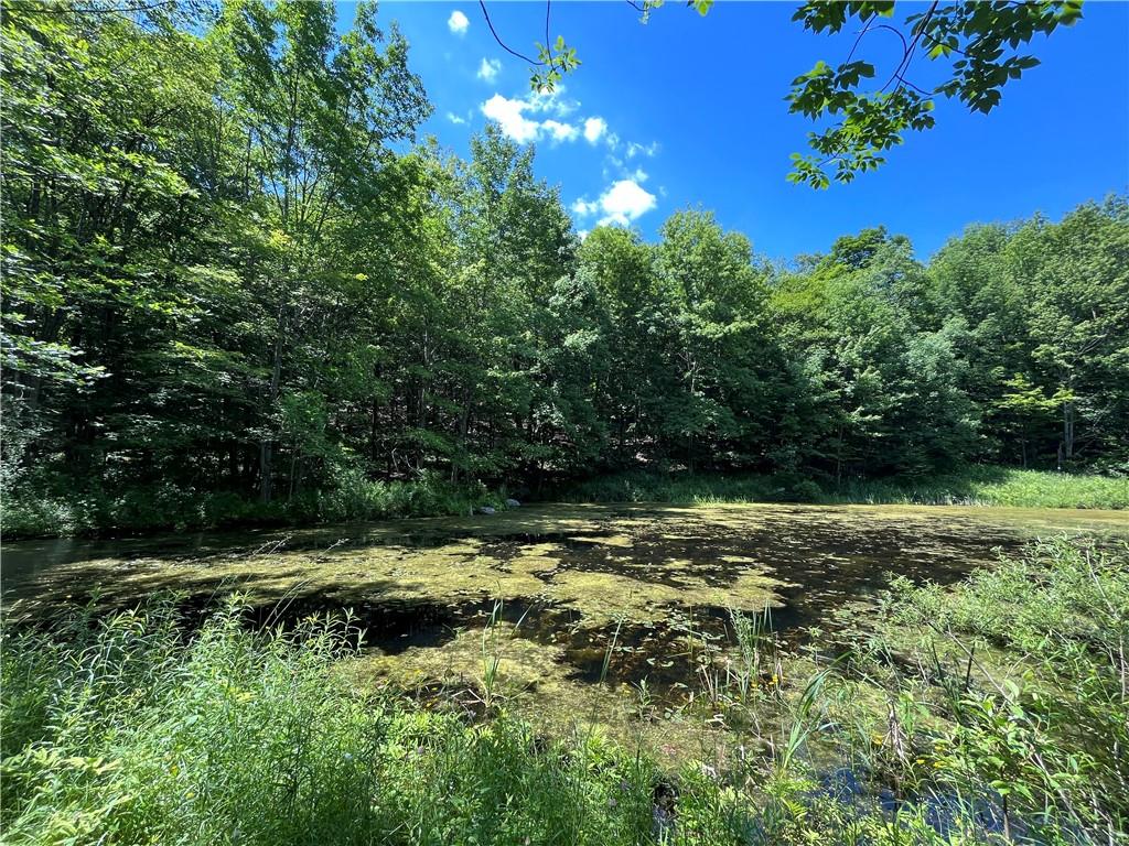Dahlia Lot 2 Road, Livingston Manor, New York image 11