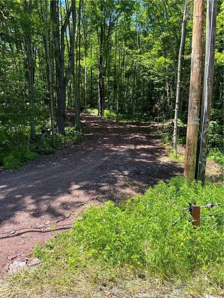 Dahlia Lot 2 Road, Livingston Manor, New York image 31