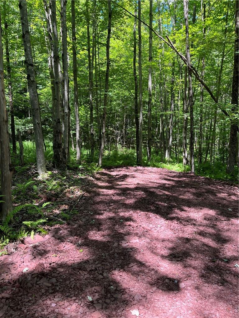 Dahlia Lot 2 Road, Livingston Manor, New York image 28