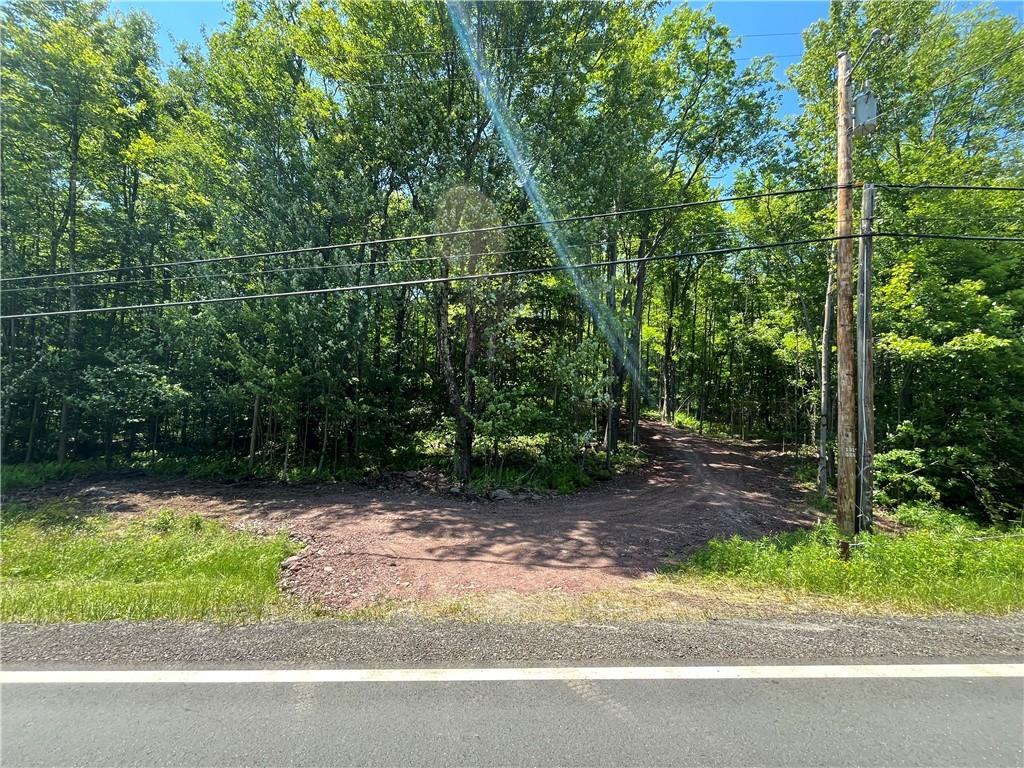 Dahlia Lot 2 Road, Livingston Manor, New York image 9