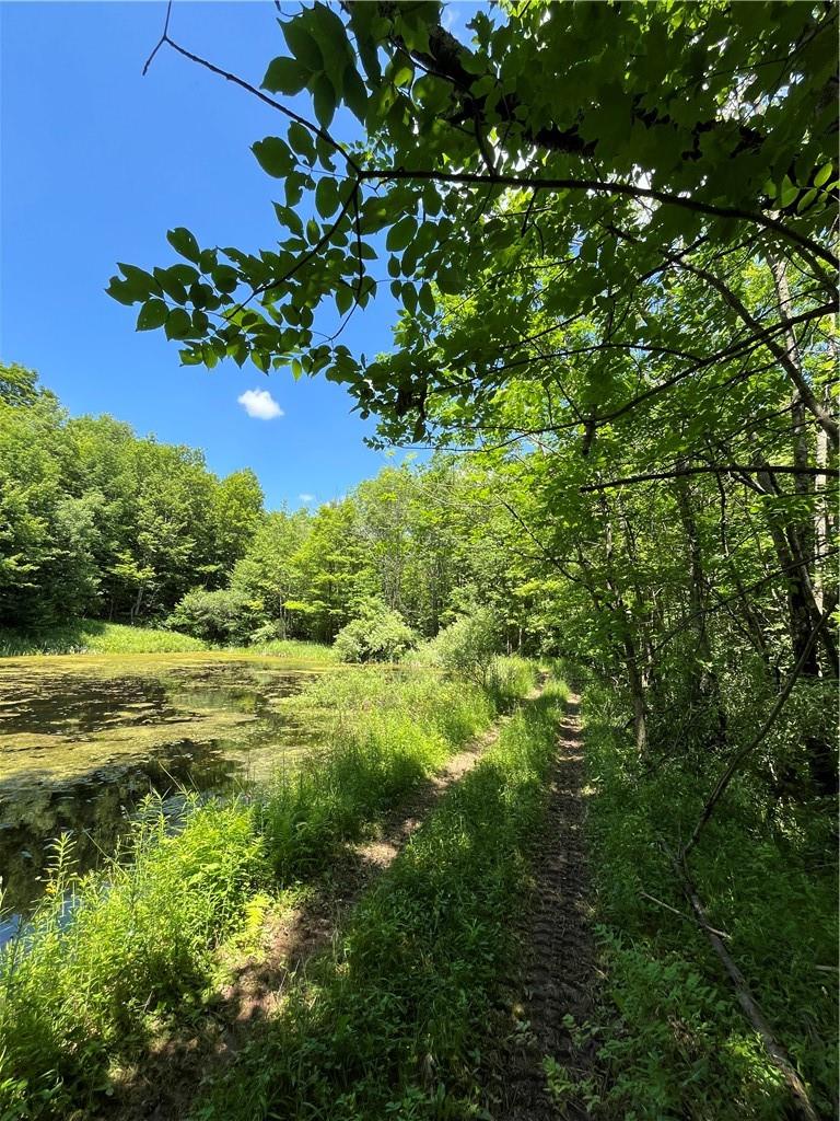 Dahlia Lot 2 Road, Livingston Manor, New York image 15