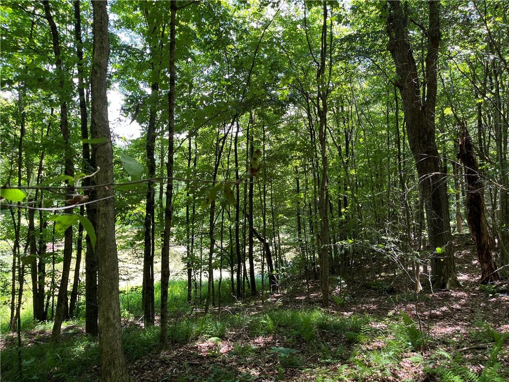 Dahlia Lot 2 Road, Livingston Manor, New York image 22