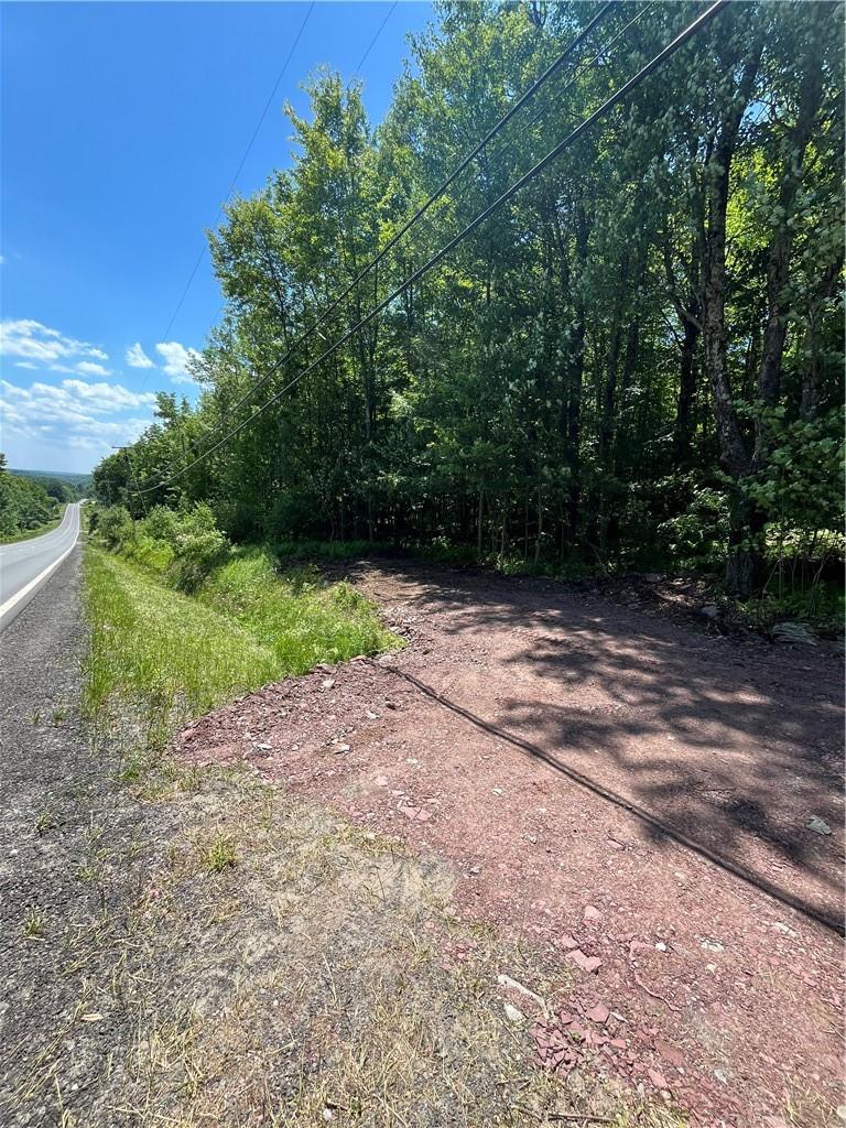 Dahlia Lot 2 Road, Livingston Manor, New York image 8