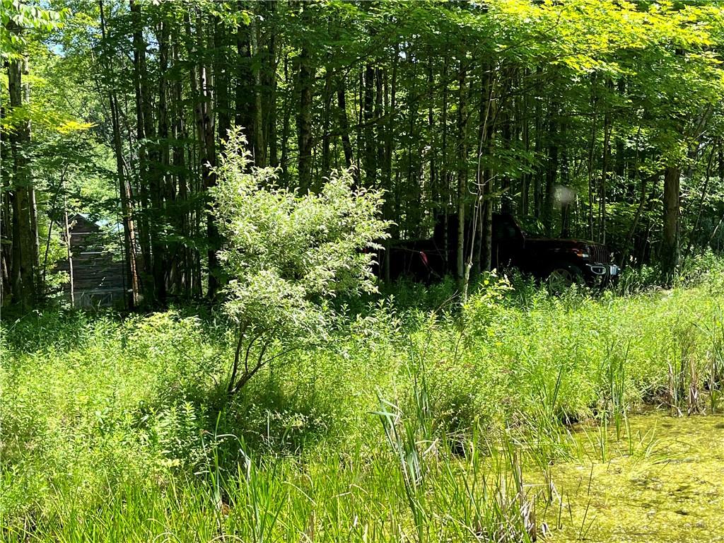 Dahlia Lot 2 Road, Livingston Manor, New York image 26
