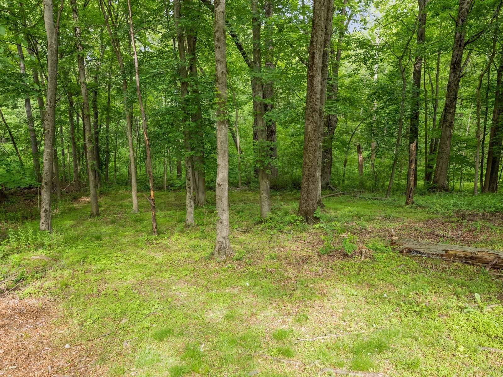 29 Sachson Place, Wappingers Falls, New York image 37