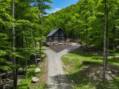 Homes For Sale - 1211 Gulf Road<br/> Livingston Manor, NY 12724