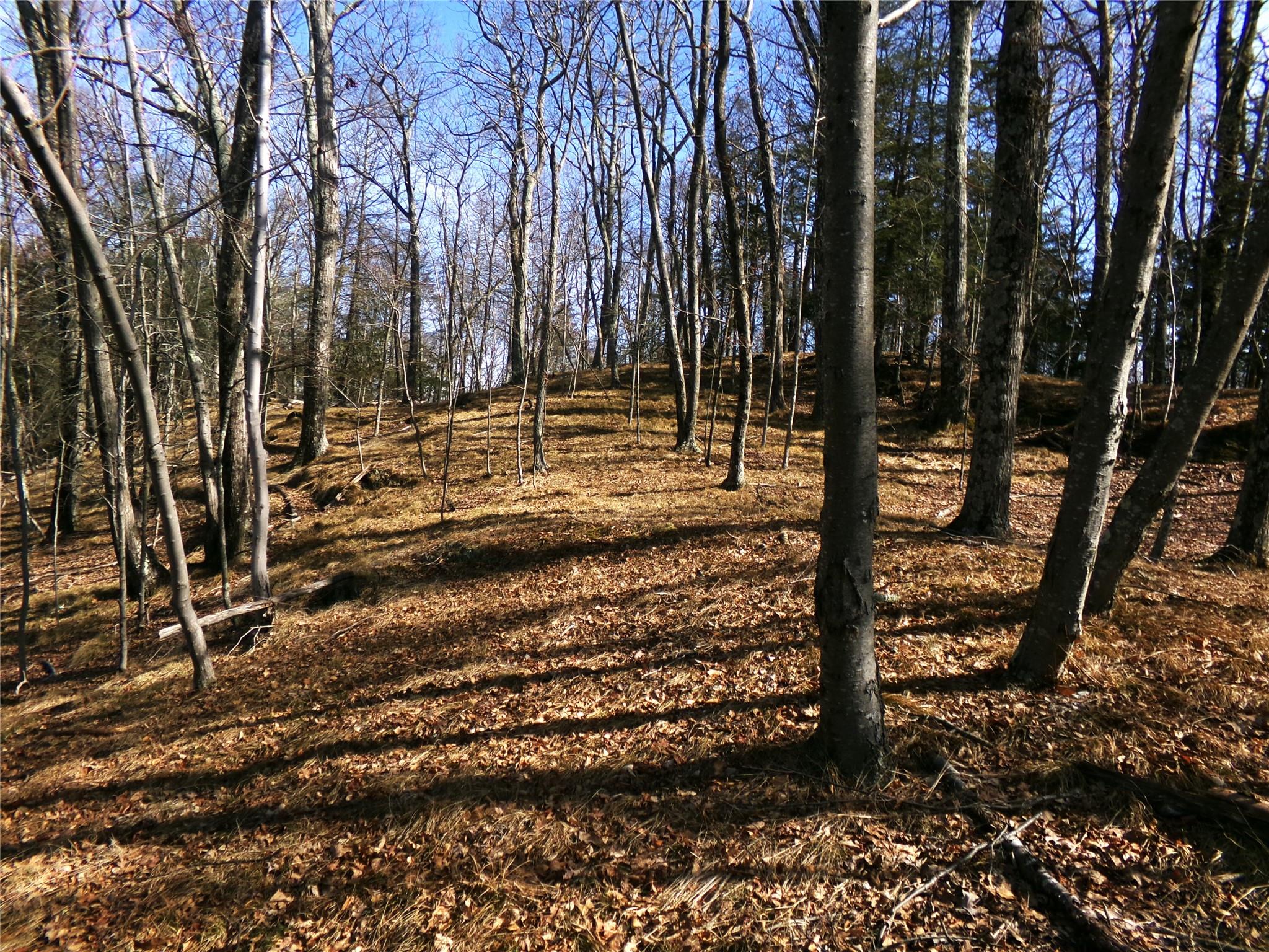 303 Hicks Hill Road, Stanfordville, New York image 37