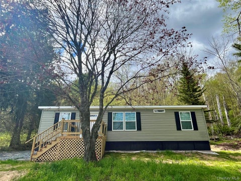 Townhouse For Sale - 317 Debruce Road<br/> Livingston Manor, NY 12758
