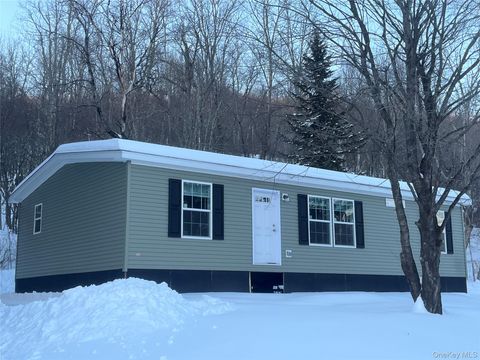 317 Debruce Road Livingston Manor NY 12758