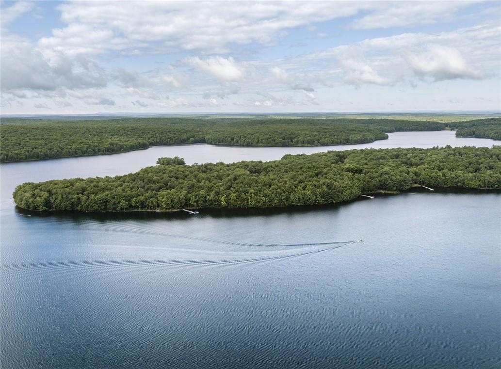 Lot 1 Chapin Trail, White Lake, New York image 12