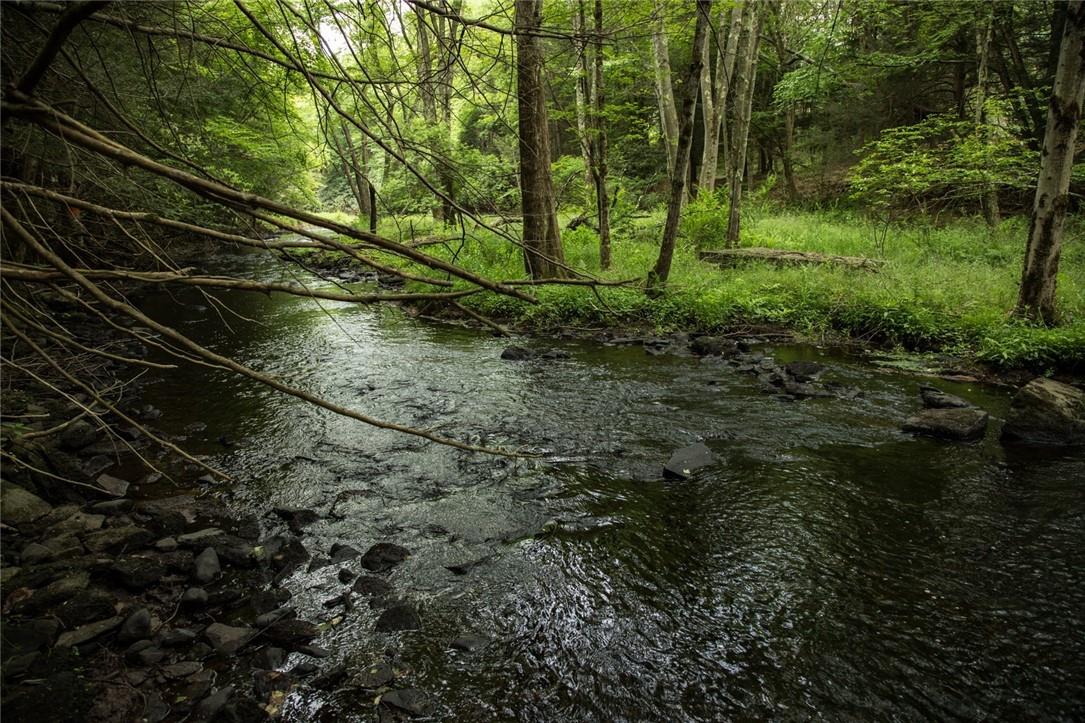 Lot 1 Chapin Trail, White Lake, New York image 4