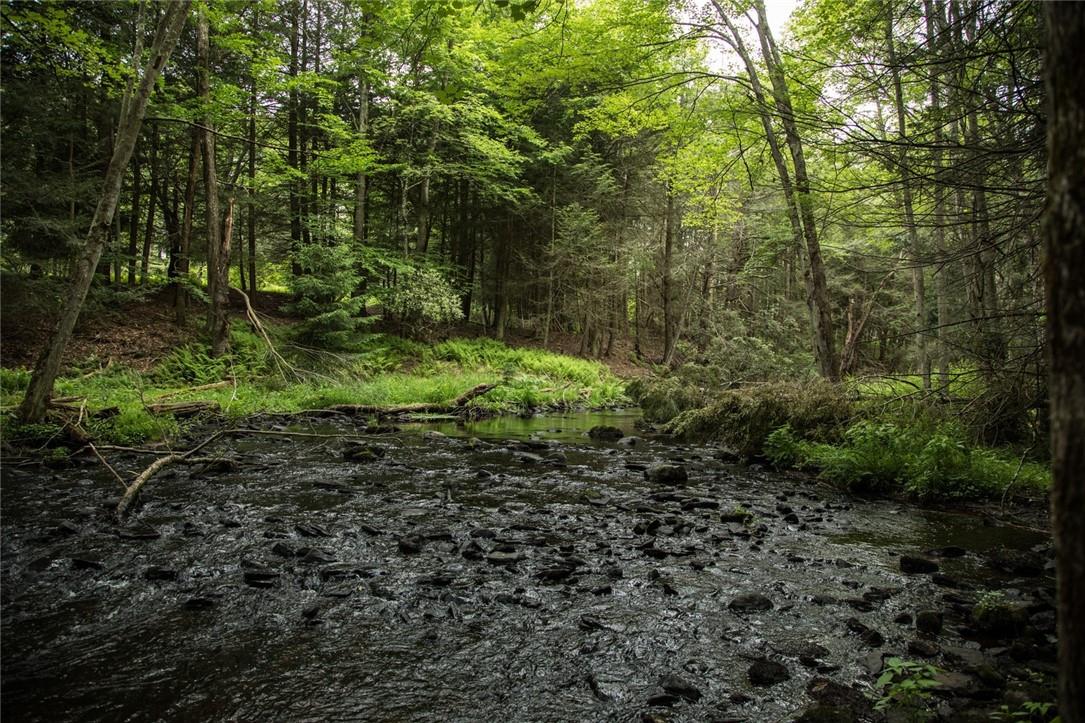 Lot 1 Chapin Trail, White Lake, New York image 5