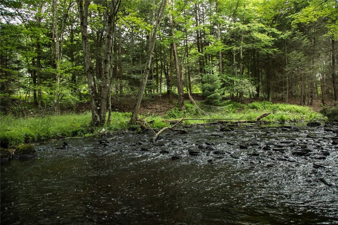 Lot 1 Chapin Trail, White Lake, New York image 7