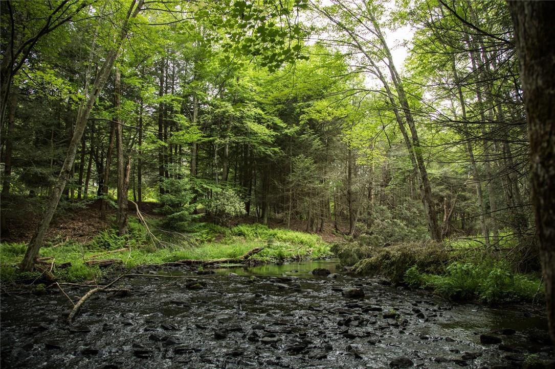 Lot 1 Chapin Trail, White Lake, New York image 6