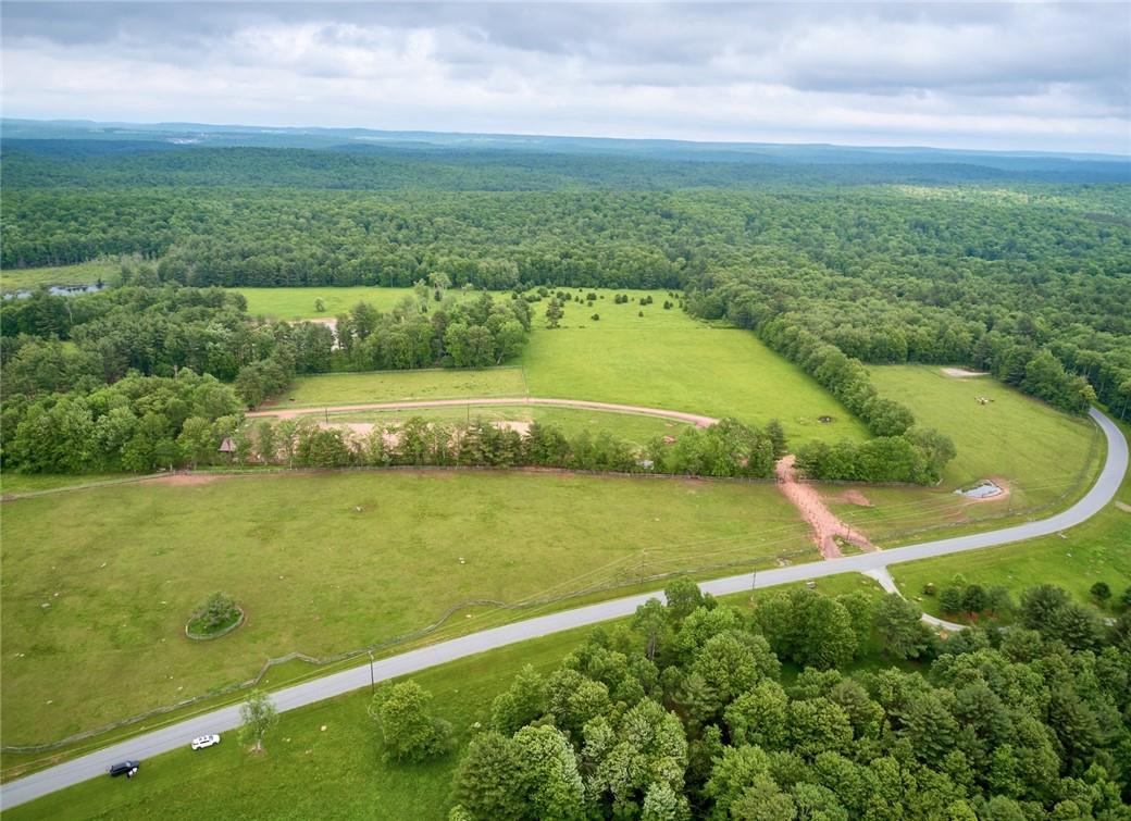 Lot 1 Chapin Trail, White Lake, New York image 11
