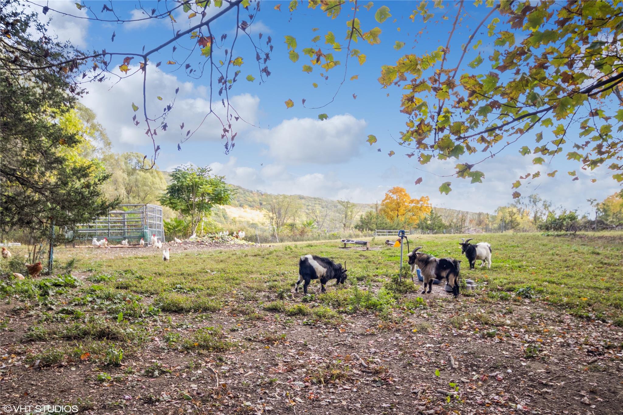 Horsemans Trail, Cold Spring, New York image 19