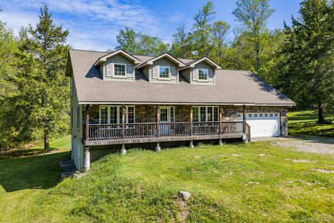 Homes For Sale - 114 Turkey Hollow Lane<br/> Sullivan County, Livingston Manor, NY 12758