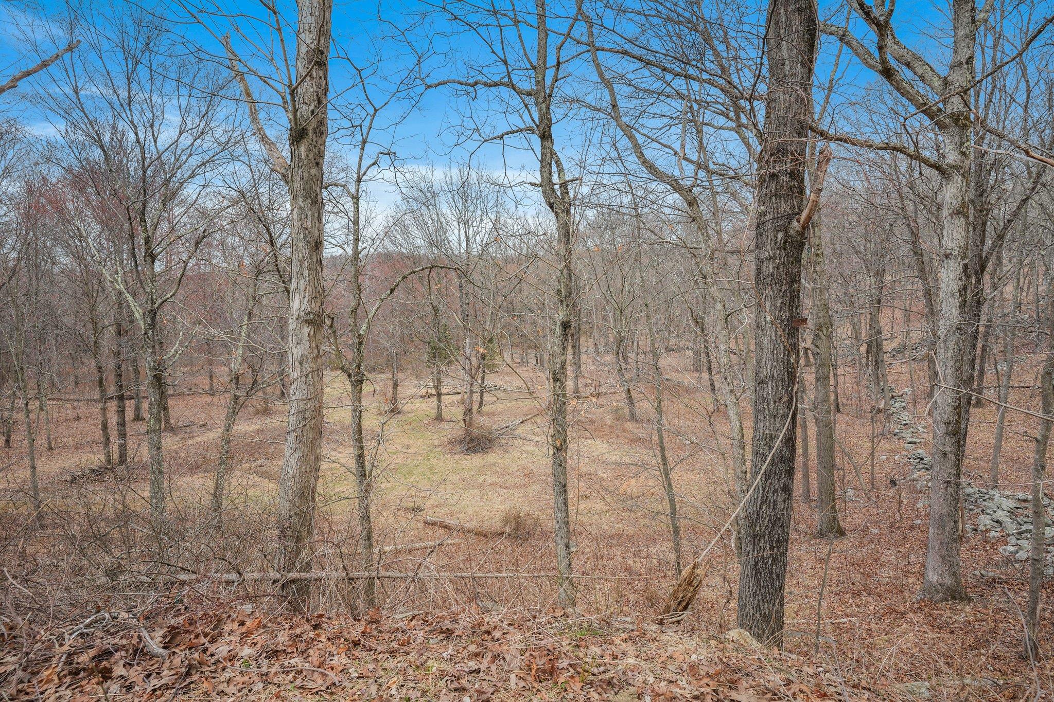 62 Miller Hill Woods Court, Carmel, New York image 44