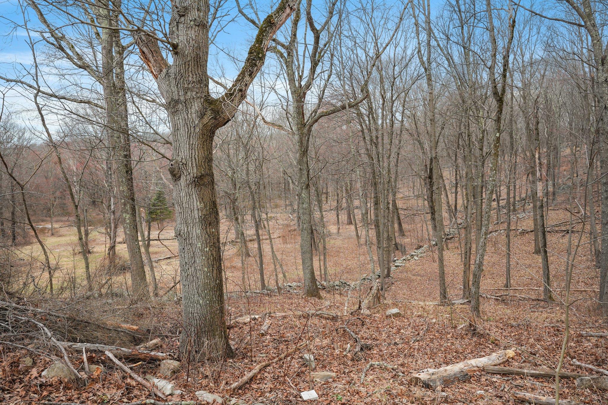 62 Miller Hill Woods Court, Carmel, New York image 45