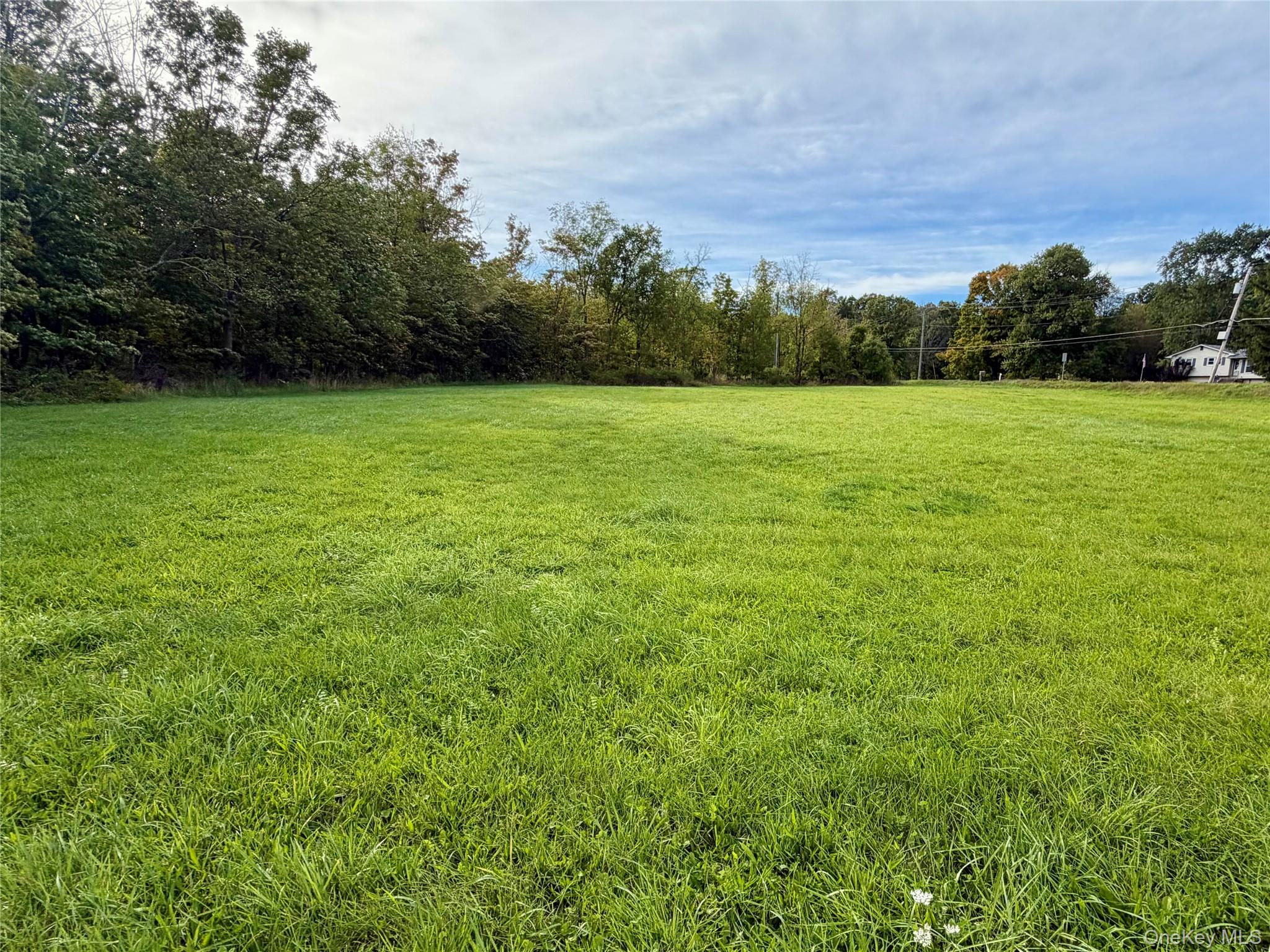 539 (Lot 1) Mt Orange Road
