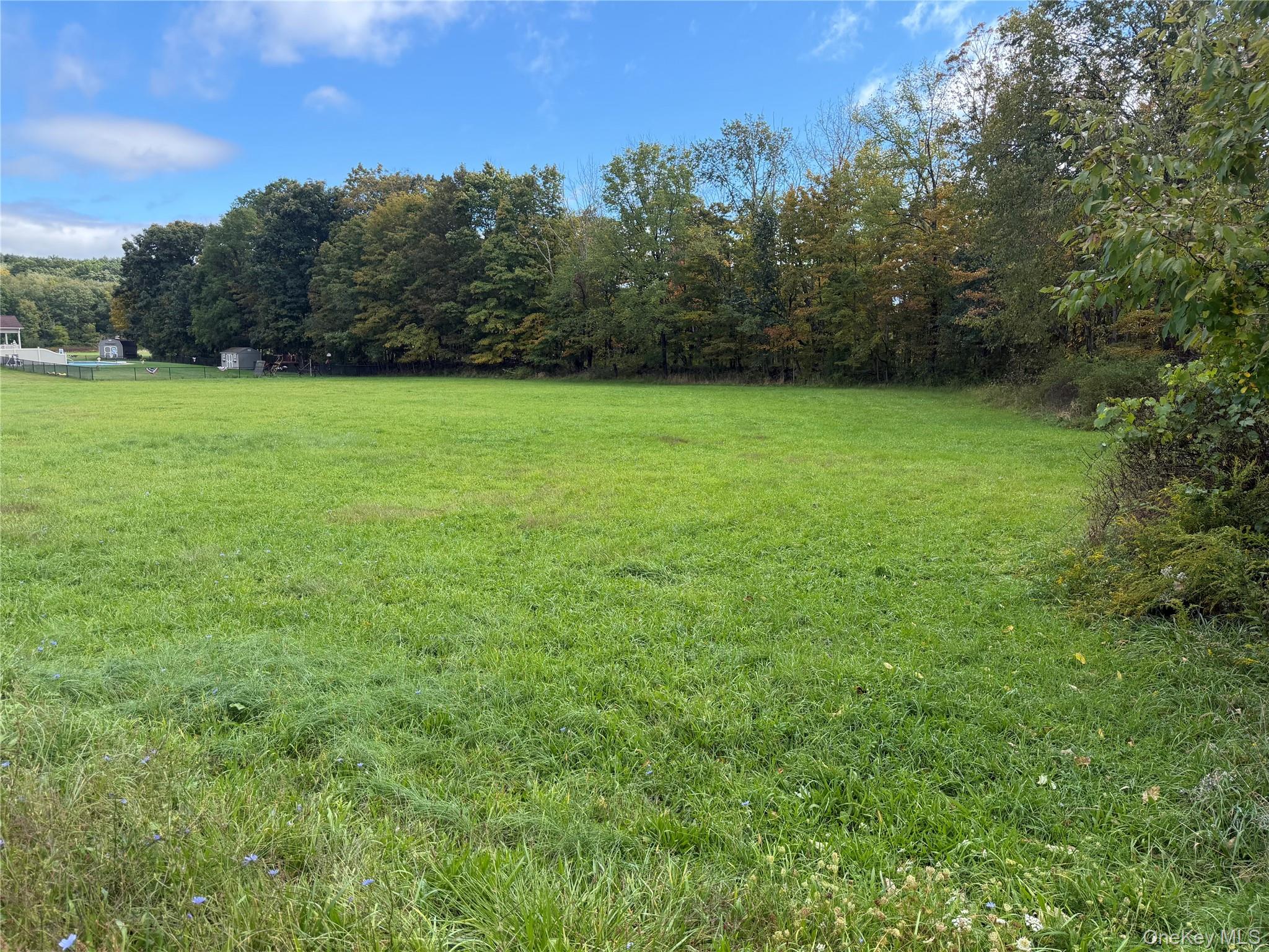 539 (Lot 1) Mt Orange Road