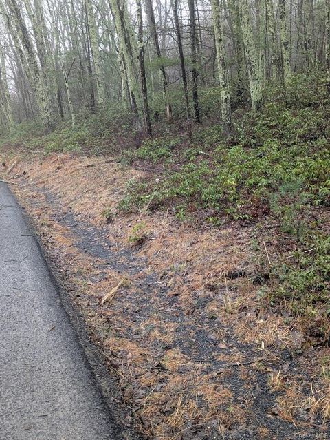 99 Otens Road Wawarsing NY 12489