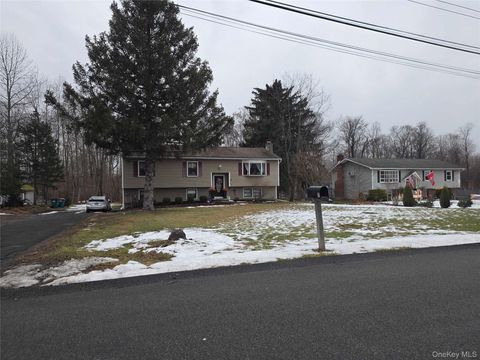 7 Magnolia Drive Wappingers Falls NY 12590