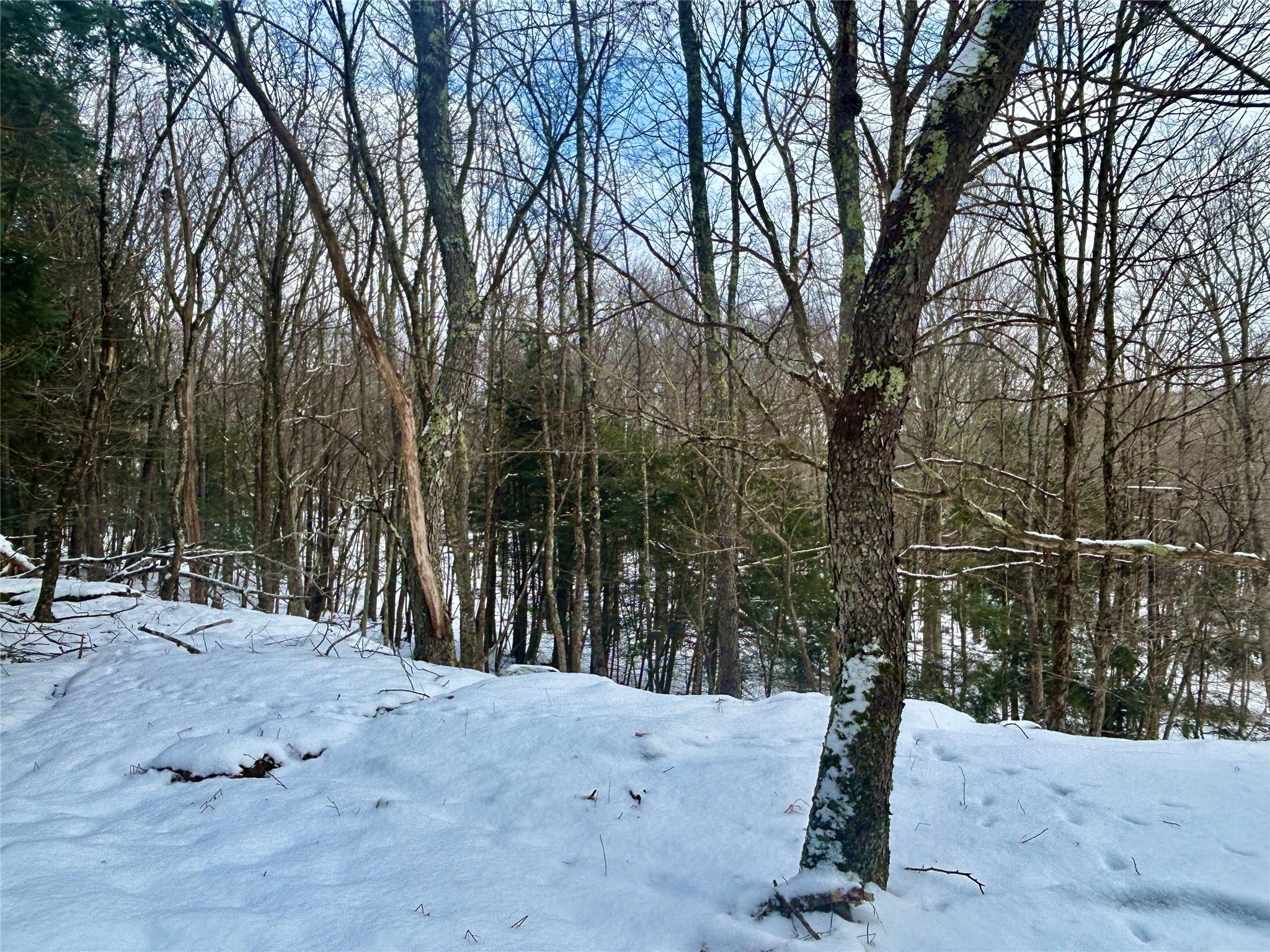 Tbd Beaver Lake Road, Livingston Manor, New York image 16