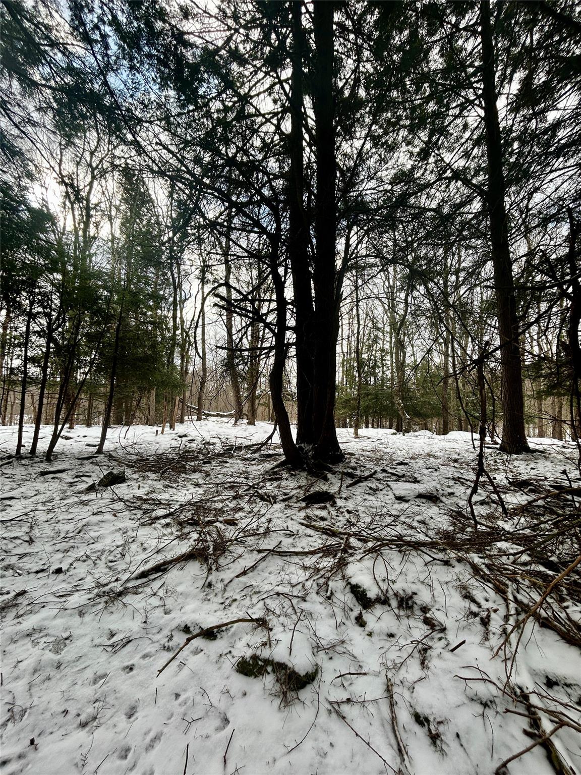 Tbd Beaver Lake Road, Livingston Manor, New York image 9