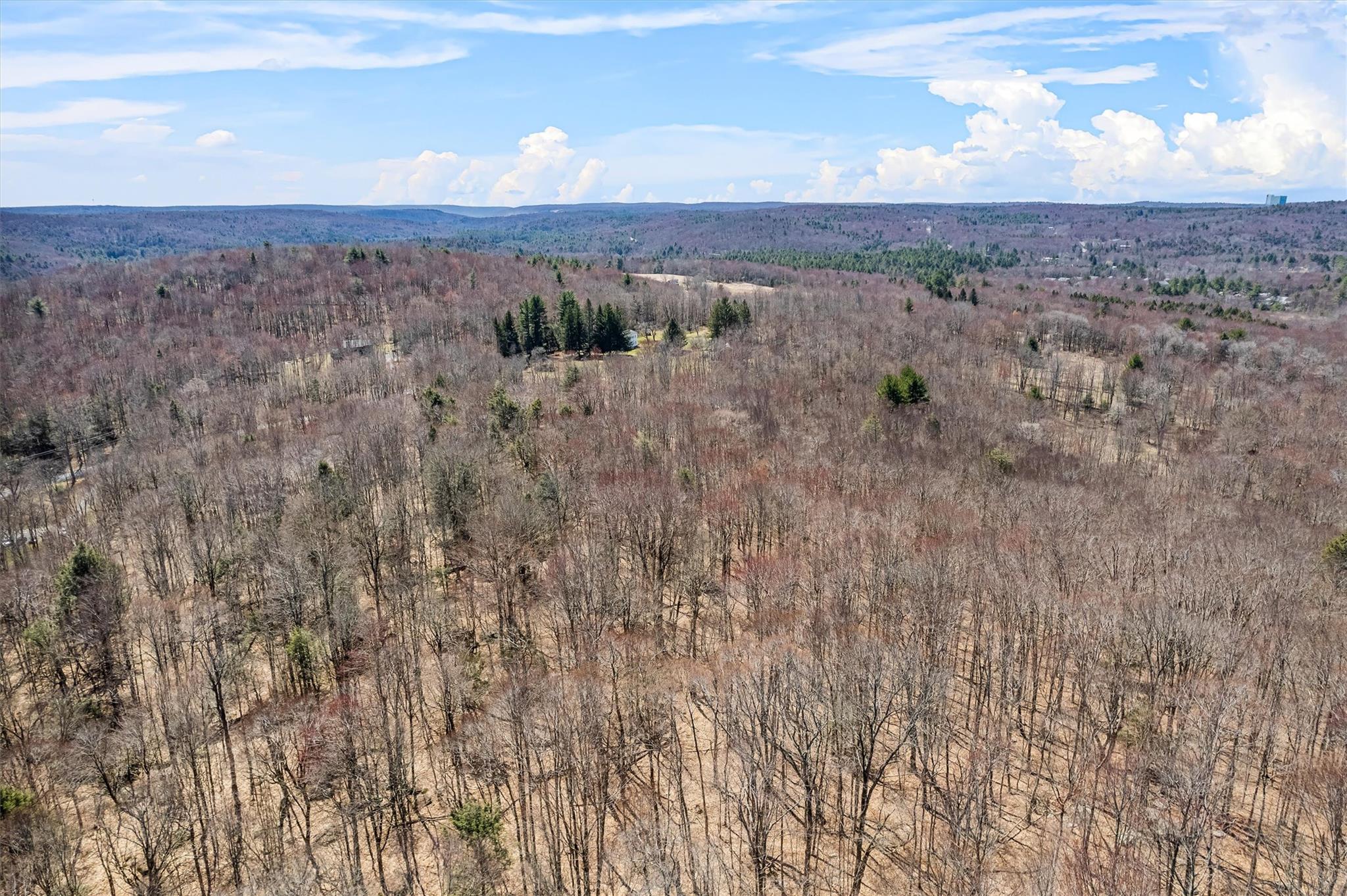 114 Ranch Hill Road, South Fallsburg, New York image 39