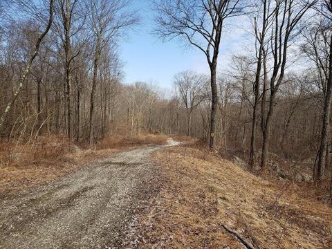 Vacant Land For Sale - S White Rock Road<br/> Holmes, NY 12531