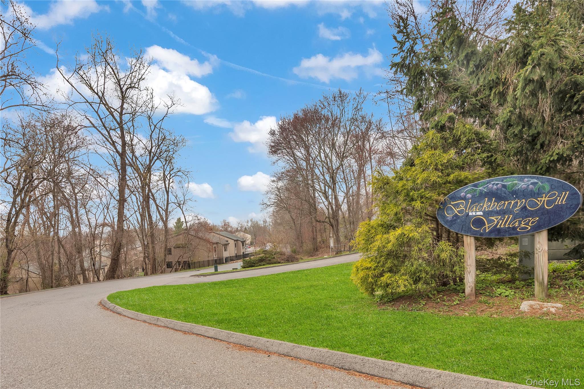 3203 Village Drive