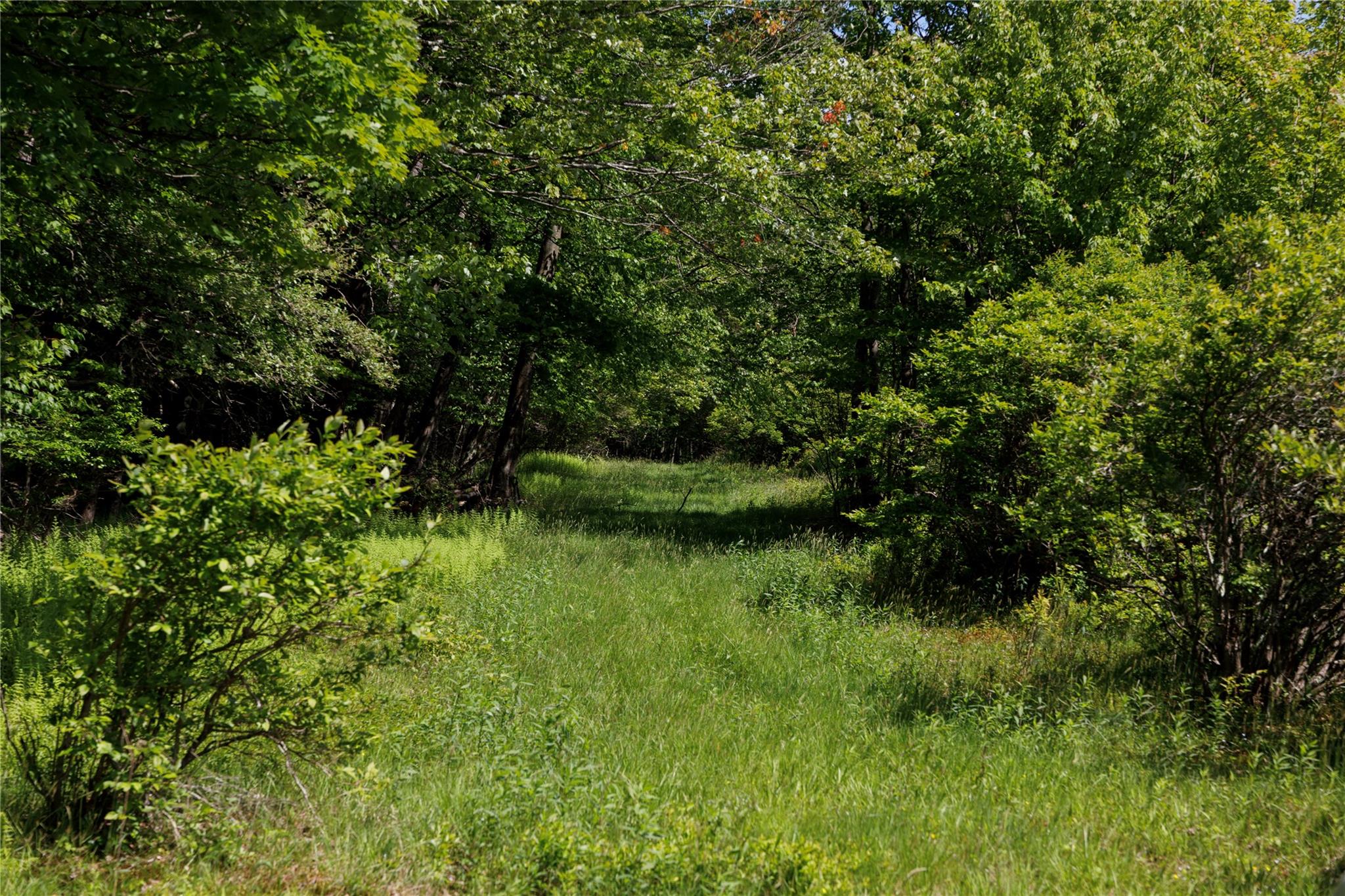 Thunder Hill Road, Neversink, New York -  - 