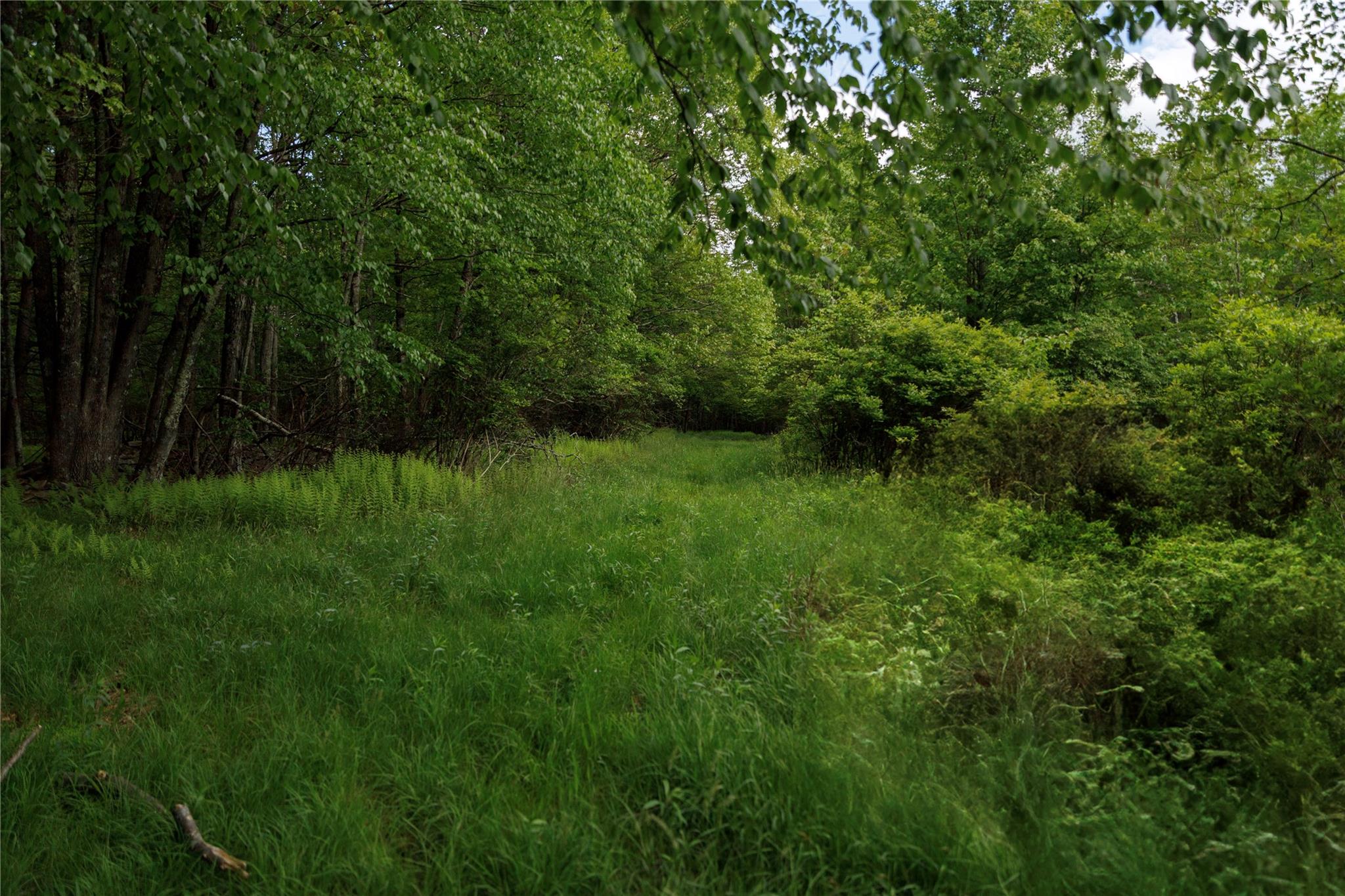 650 Thunder Hill Road
