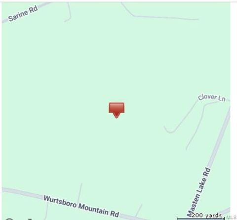 Park Avenue Wurtsboro NY 12790