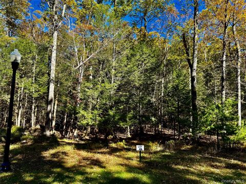 Homes For Sale - 44 Falling Waters Drive<br/> Palenville, NY 12463