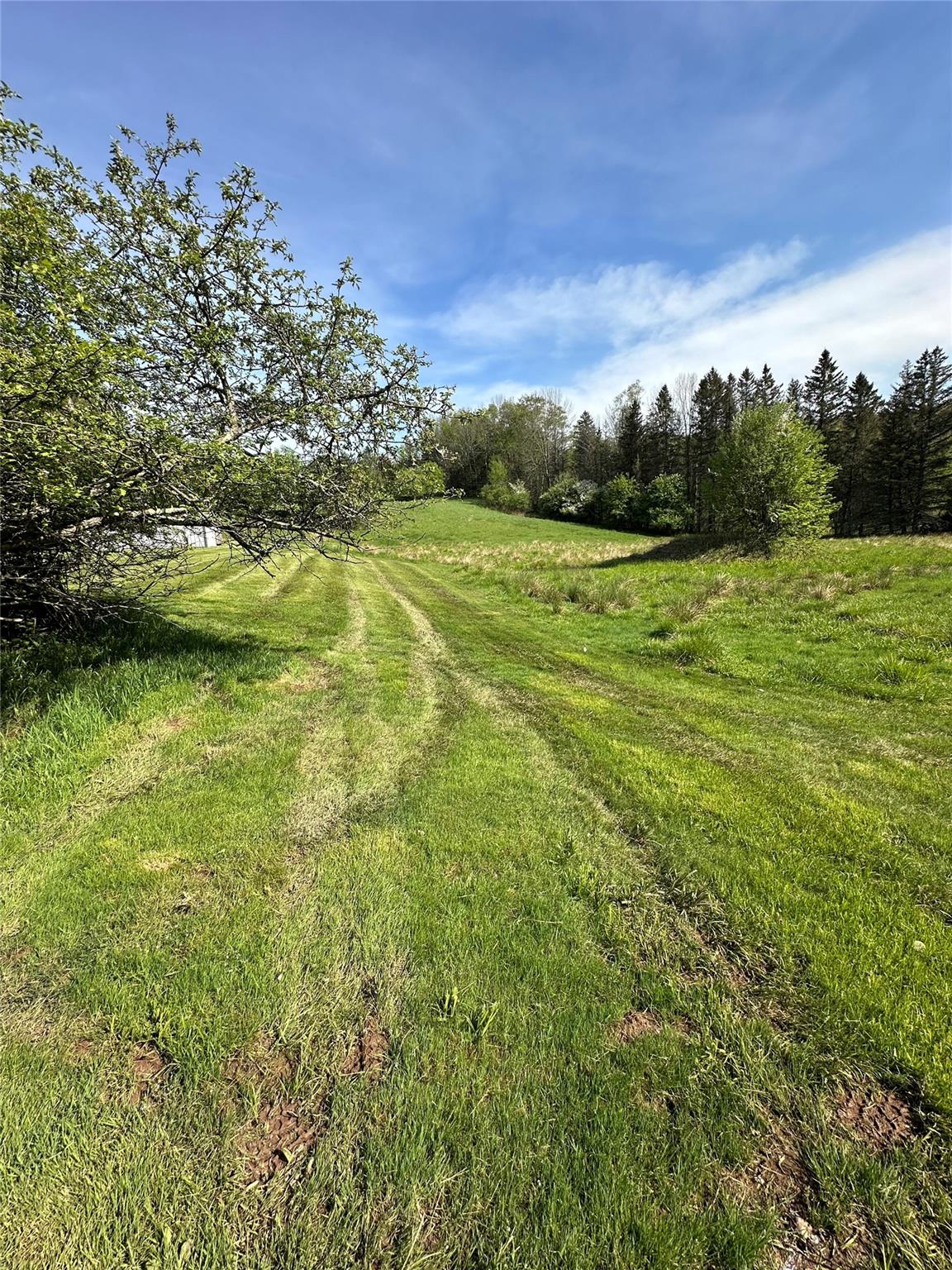 5852 State Route 55, Liberty, New York image 28